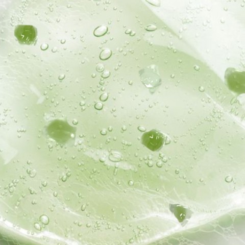 CELERY WASH OFF PACK