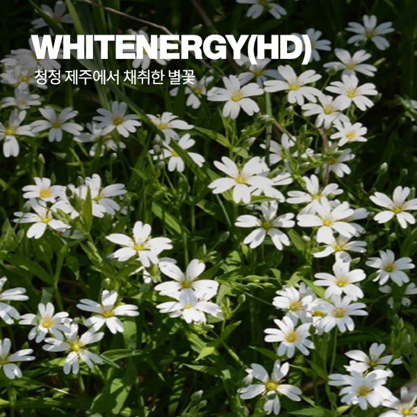 WHITENERGY (HD)