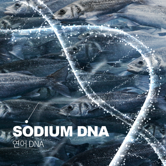 SODIUM DNA